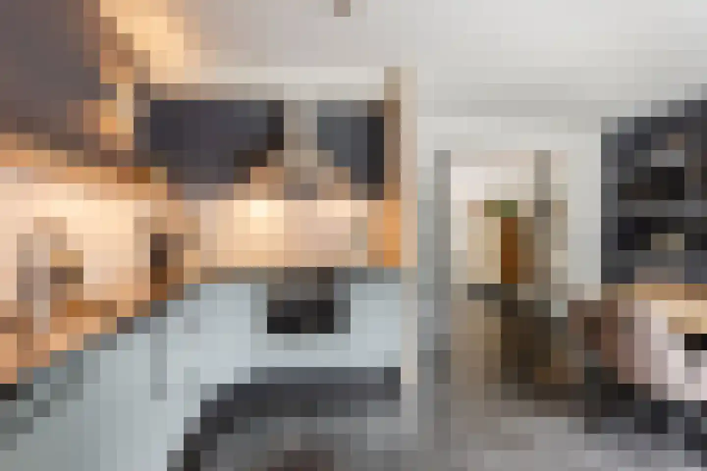 Schaapkenslaan 5 Berkel-Enschot thumbnail 12