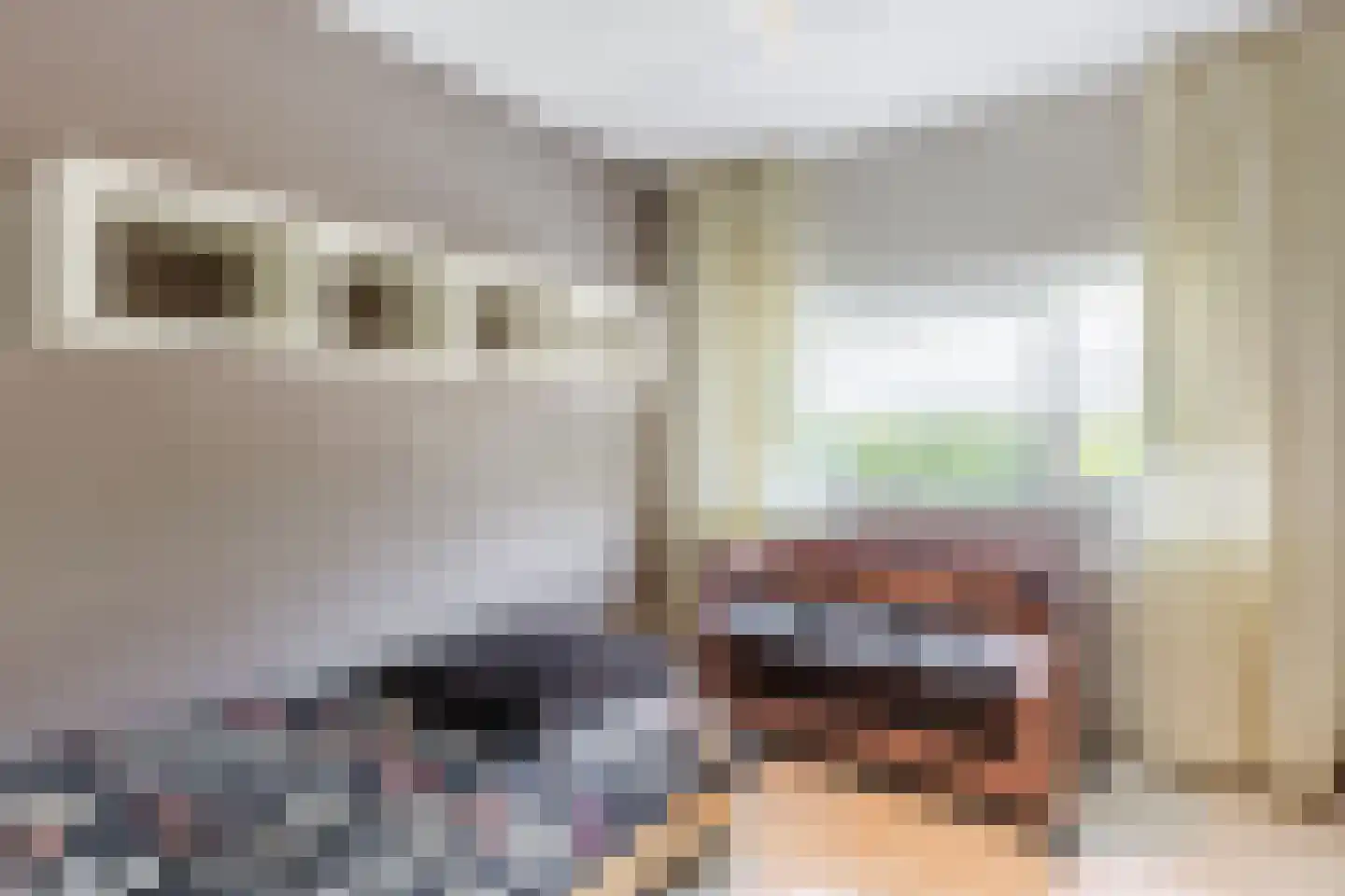 Schaapkenslaan 5 Berkel-Enschot thumbnail 19