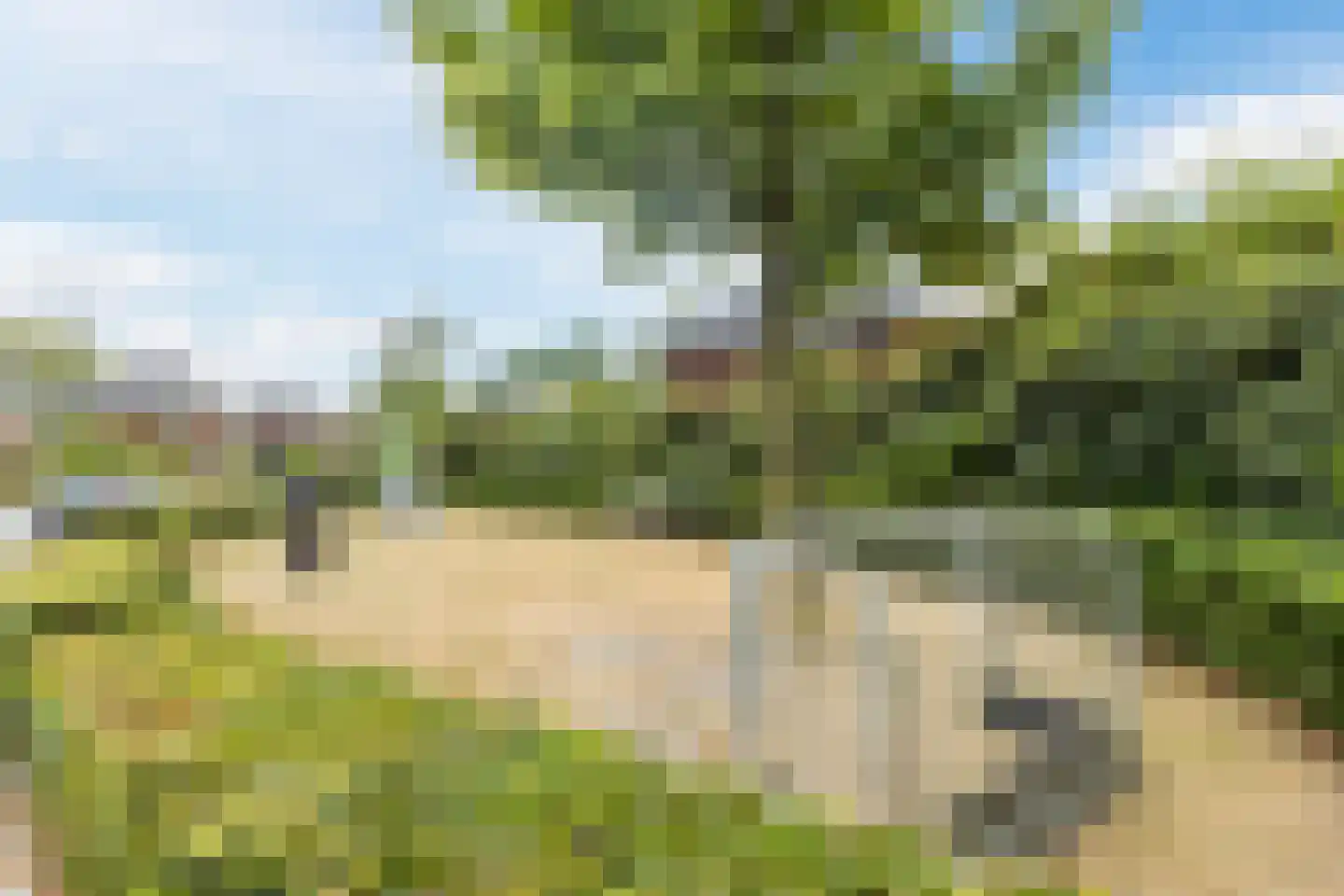 Schaapkenslaan 5 Berkel-Enschot thumbnail 37