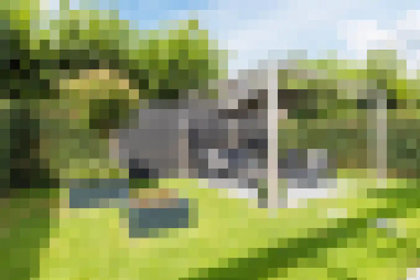 Schaapkenslaan 5 Berkel-Enschot thumbnail 4