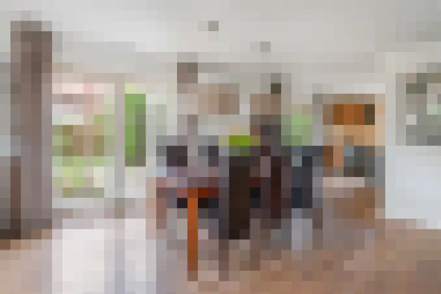 Schaapmanstraat 22 Lemelerveld thumbnail 10