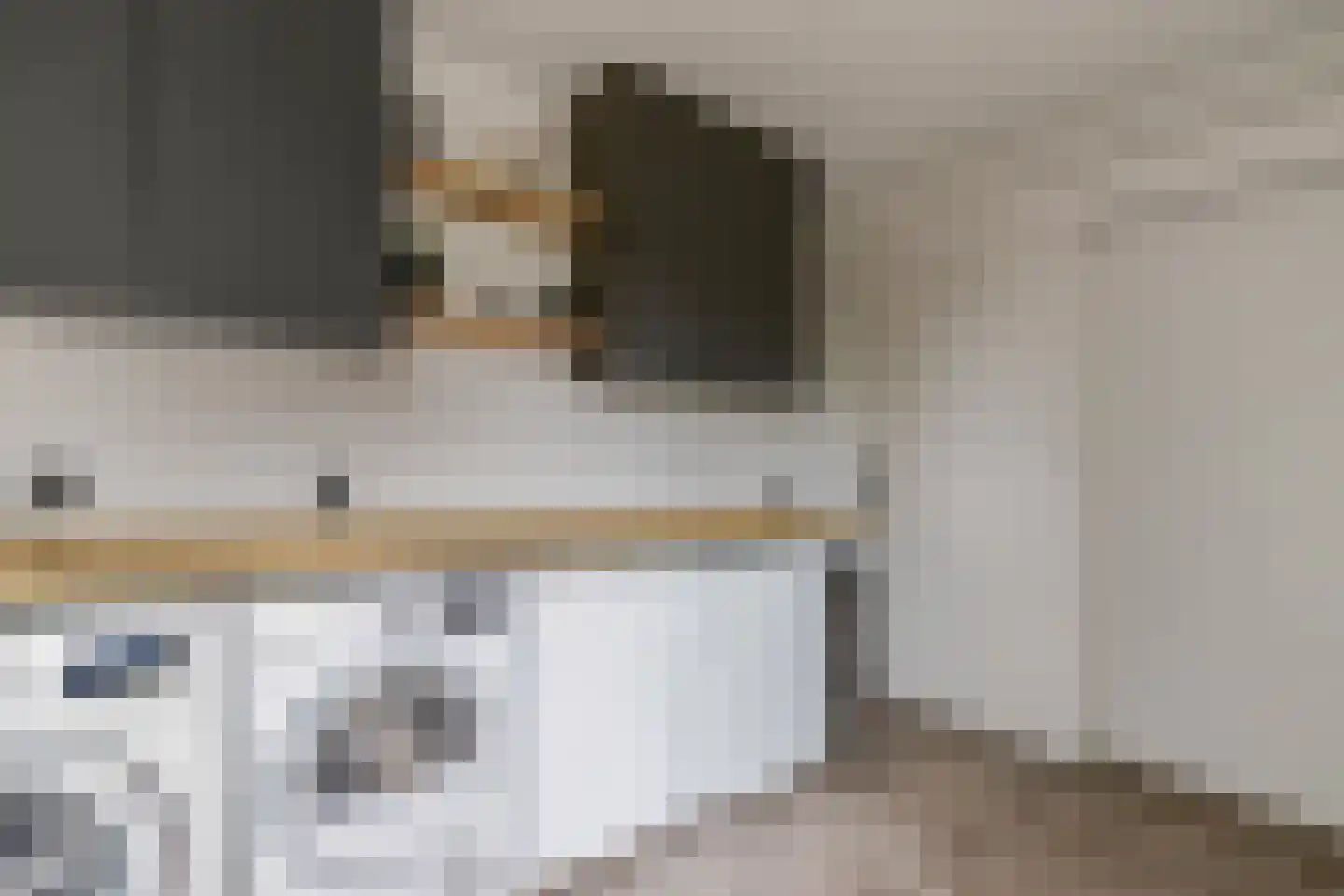Schaapmanstraat 22 Lemelerveld thumbnail 16
