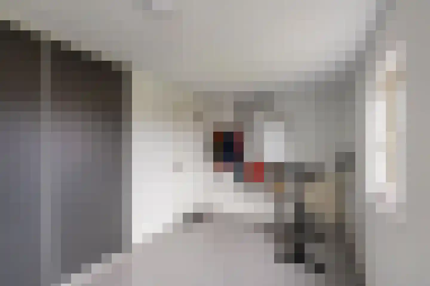 Schaapmanstraat 22 Lemelerveld thumbnail 18
