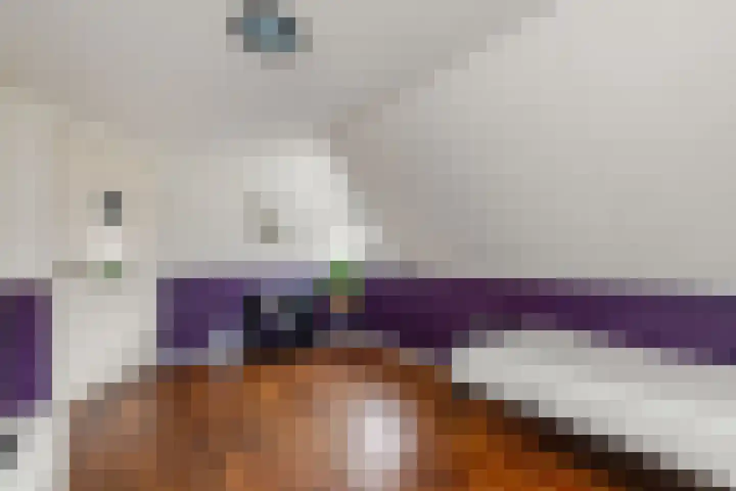 Schaapmanstraat 22 Lemelerveld thumbnail 25