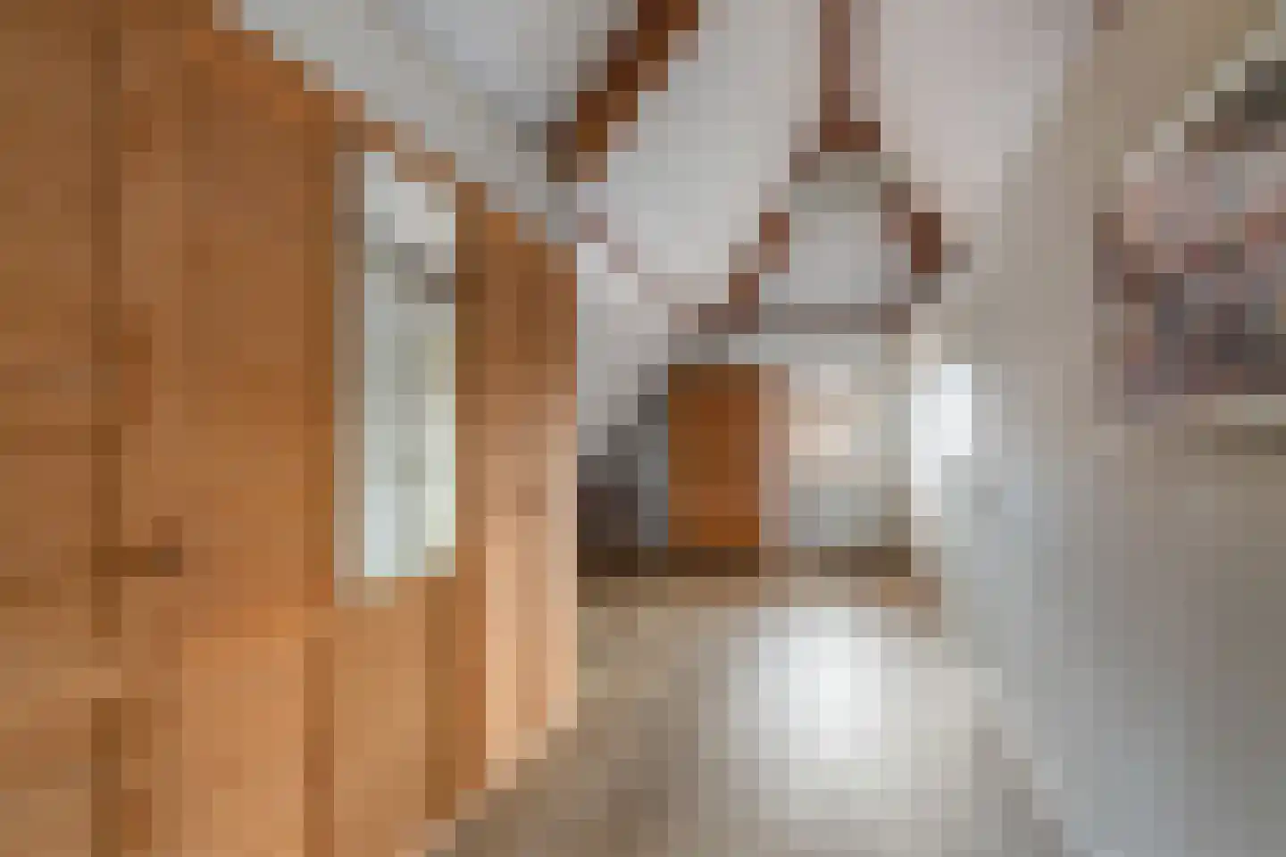 Schaapmanstraat 22 Lemelerveld thumbnail 35