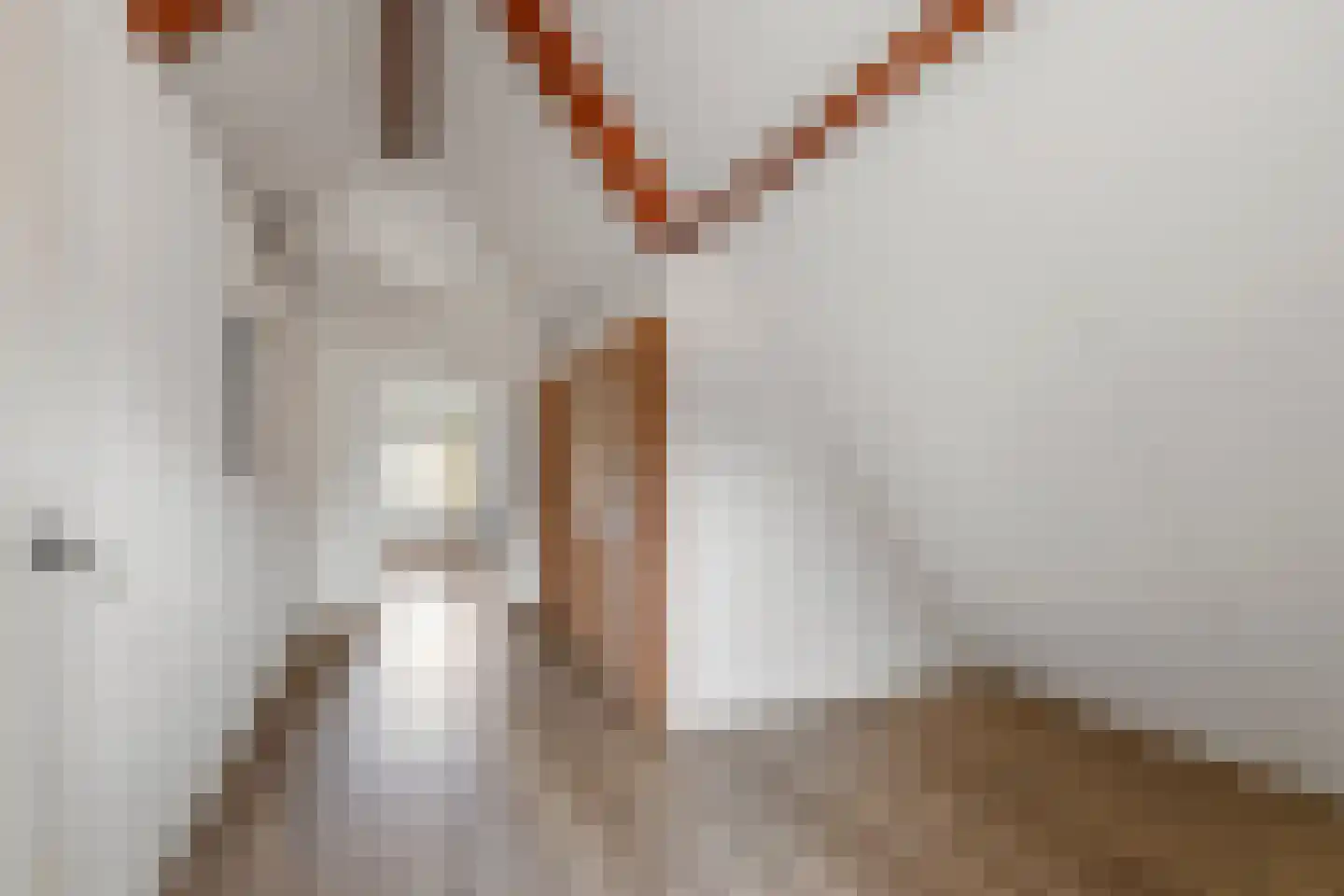 Schaapmanstraat 22 Lemelerveld thumbnail 36