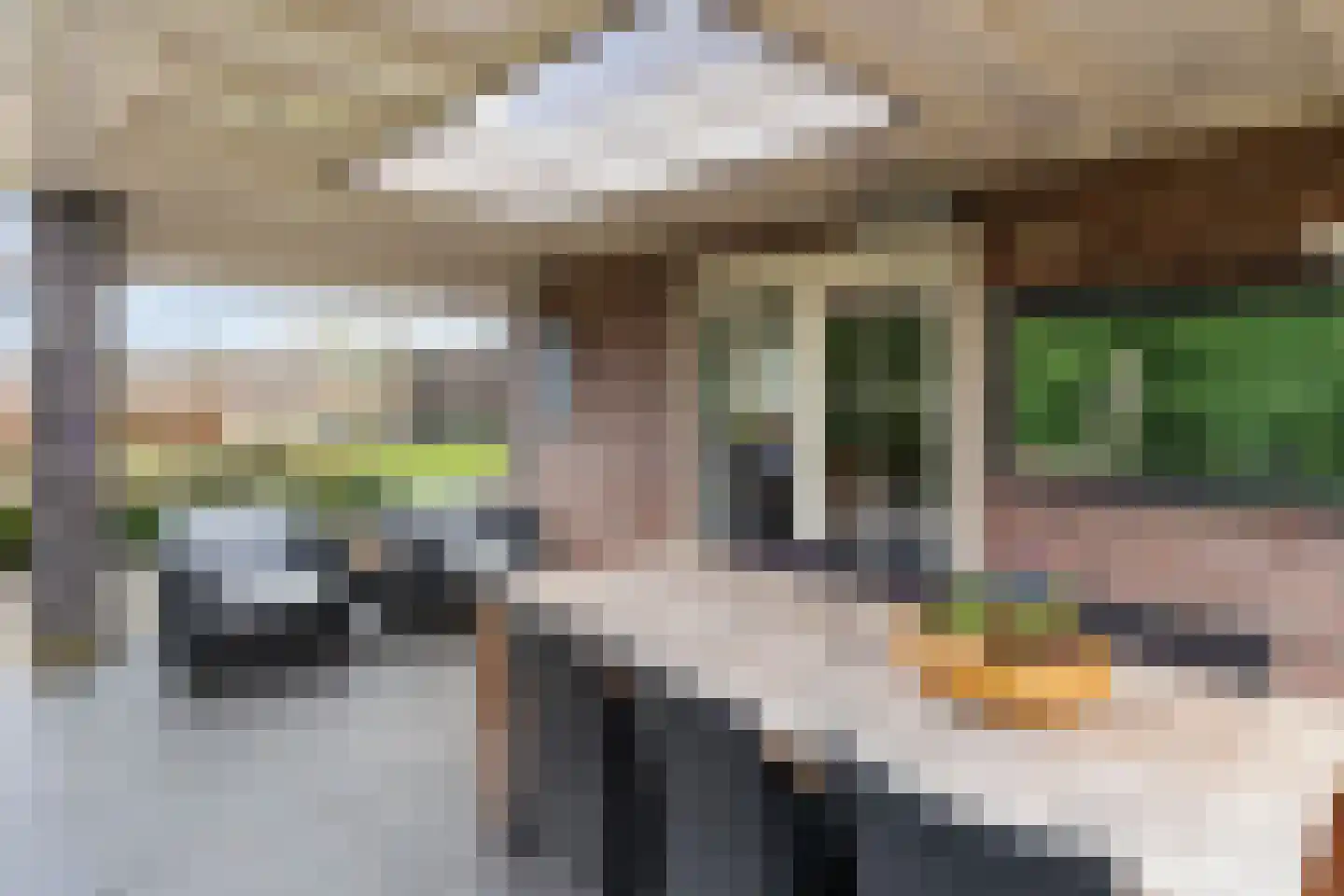 Schaapmanstraat 22 Lemelerveld thumbnail 37