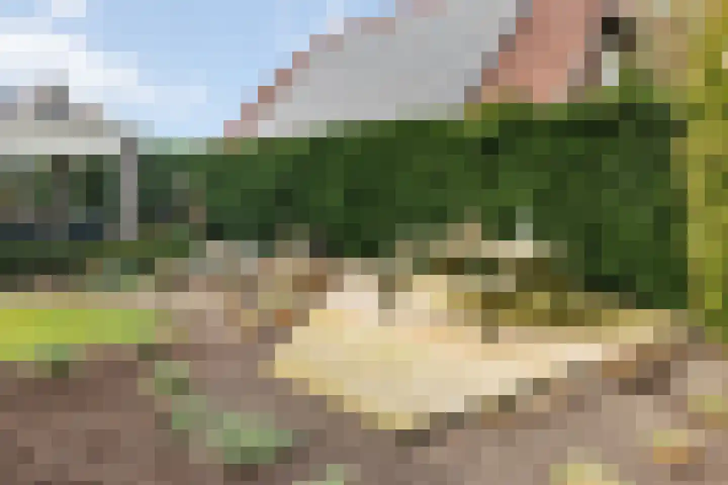 Schaapmanstraat 22 Lemelerveld thumbnail 44