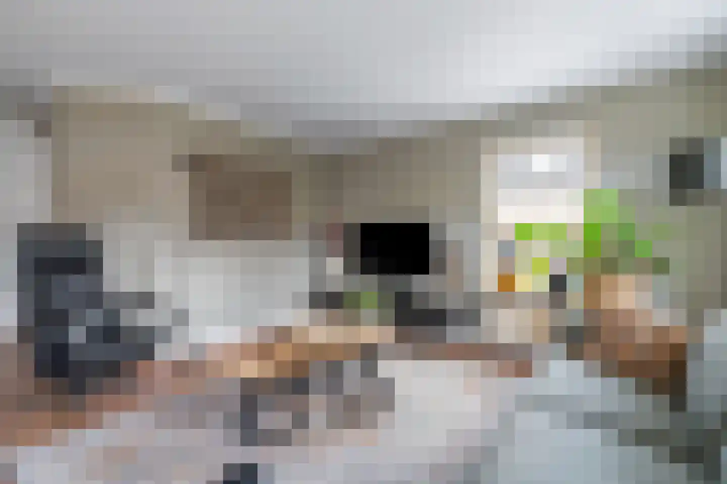 Schaapmanstraat 22 Lemelerveld thumbnail 6