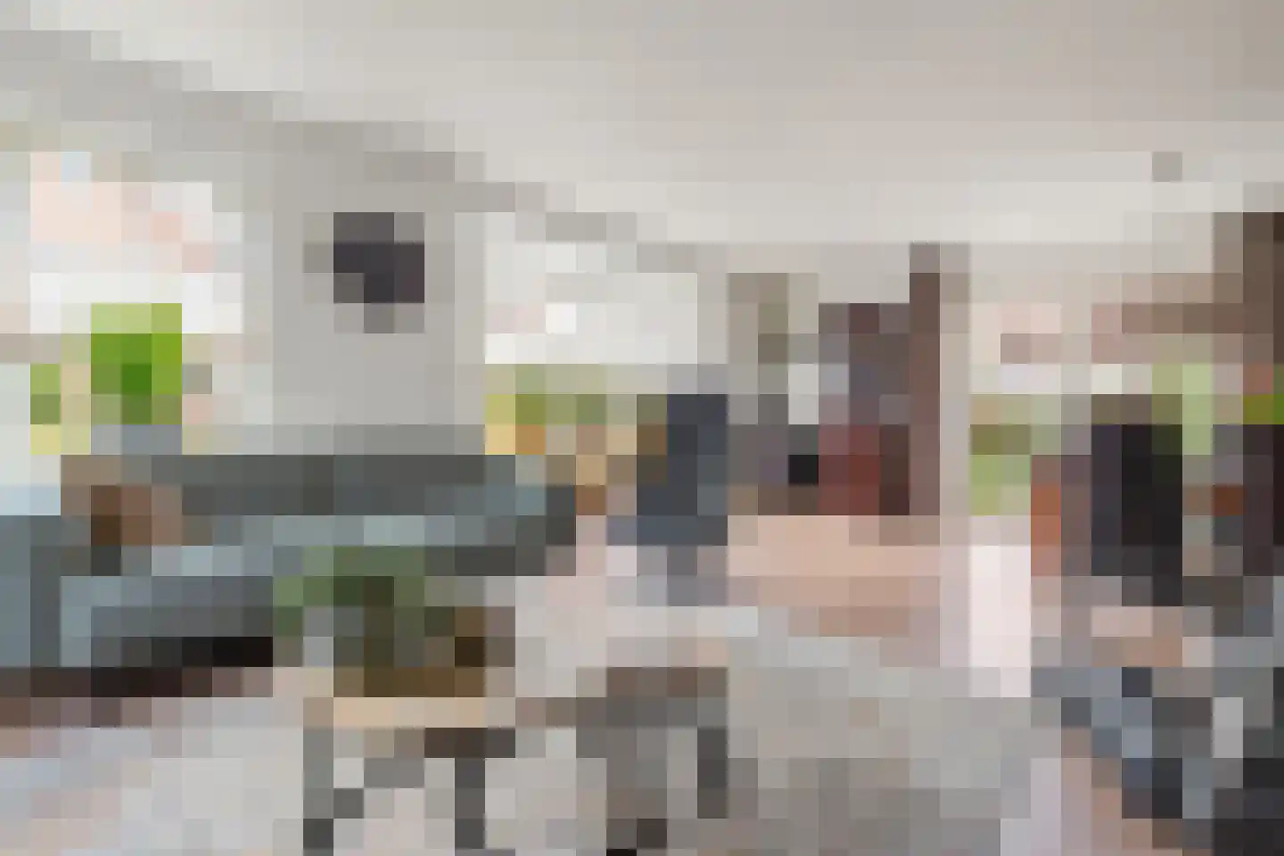Schaapmanstraat 22 Lemelerveld thumbnail 7