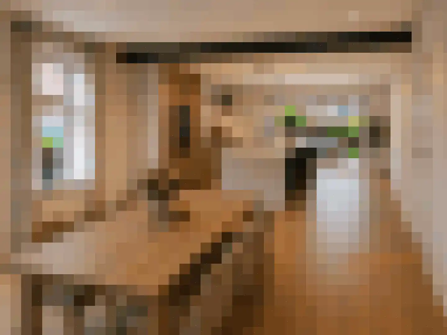 Schaapmanstraat 25 Lemelerveld thumbnail 18