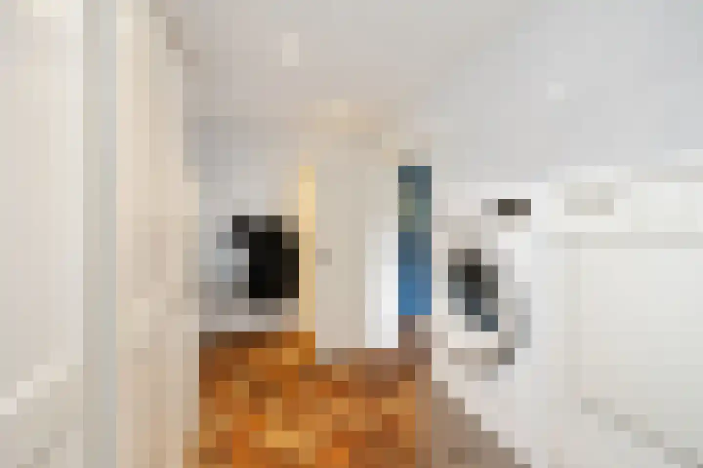 Schaapmanstraat 25 Lemelerveld thumbnail 19
