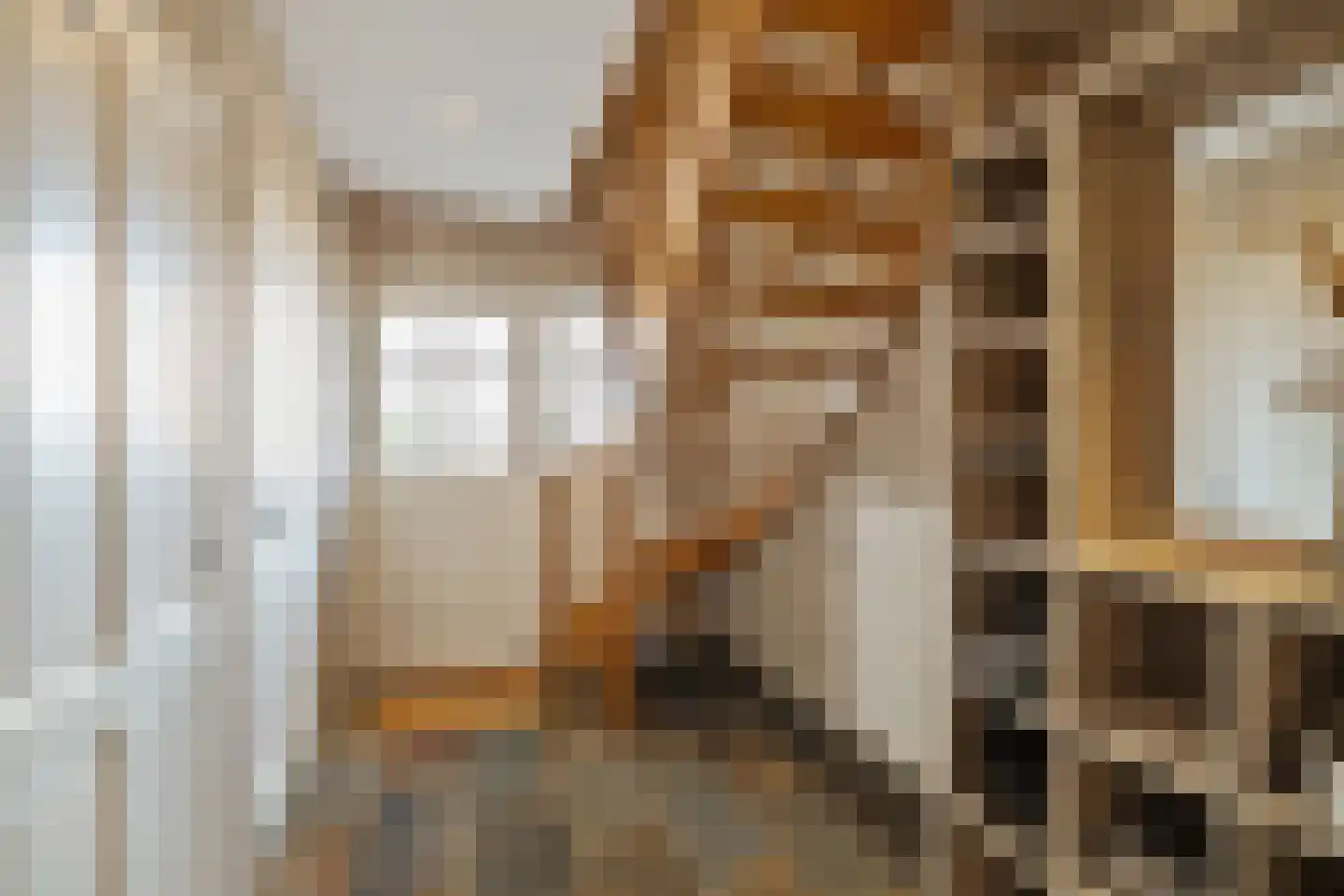 Schaapmanstraat 25 Lemelerveld thumbnail 19