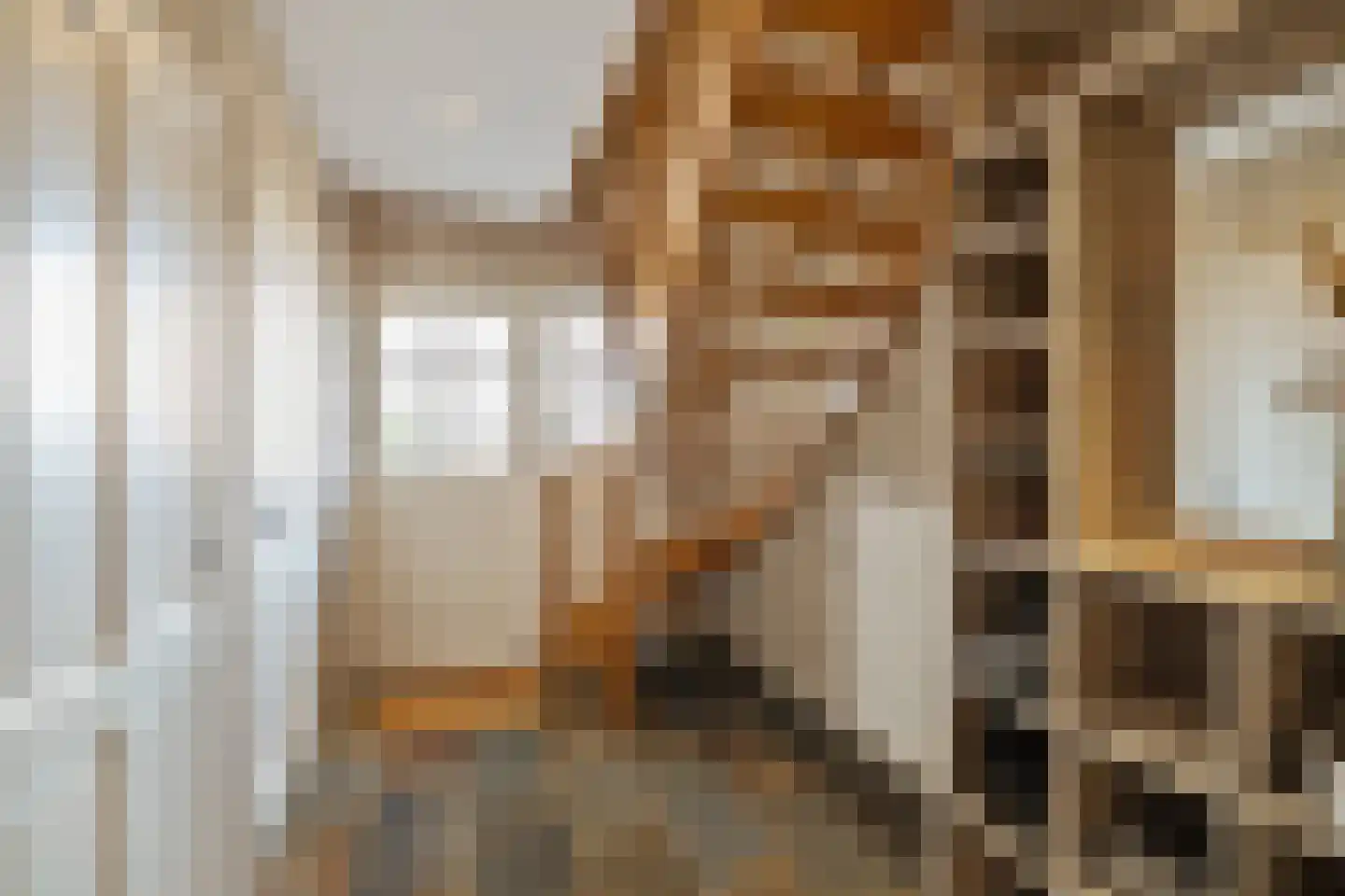 Schaapmanstraat 25 Lemelerveld thumbnail 22