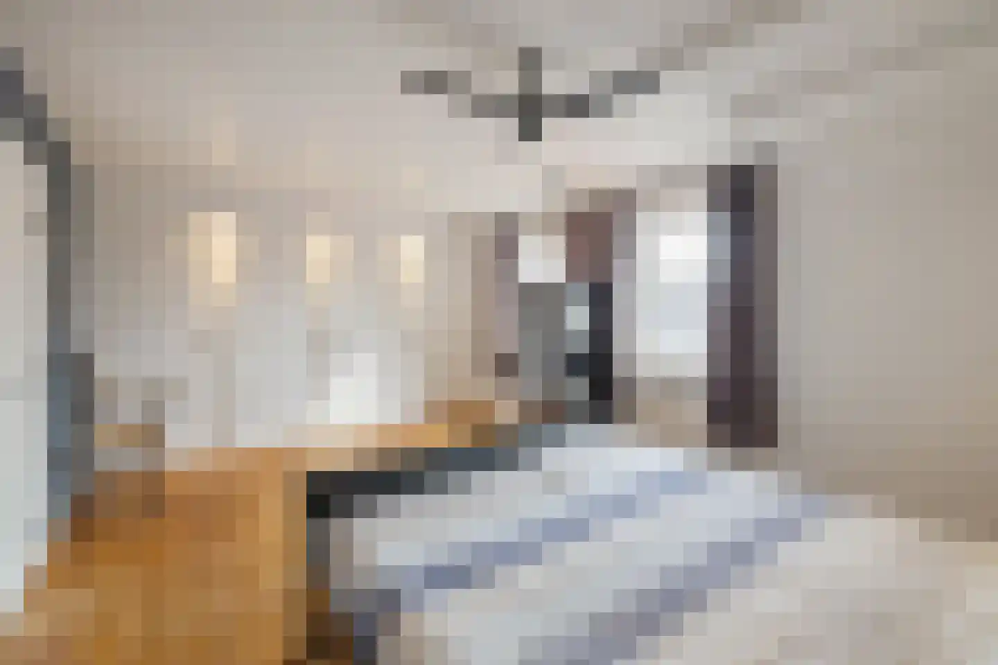 Schaapmanstraat 25 Lemelerveld thumbnail 29