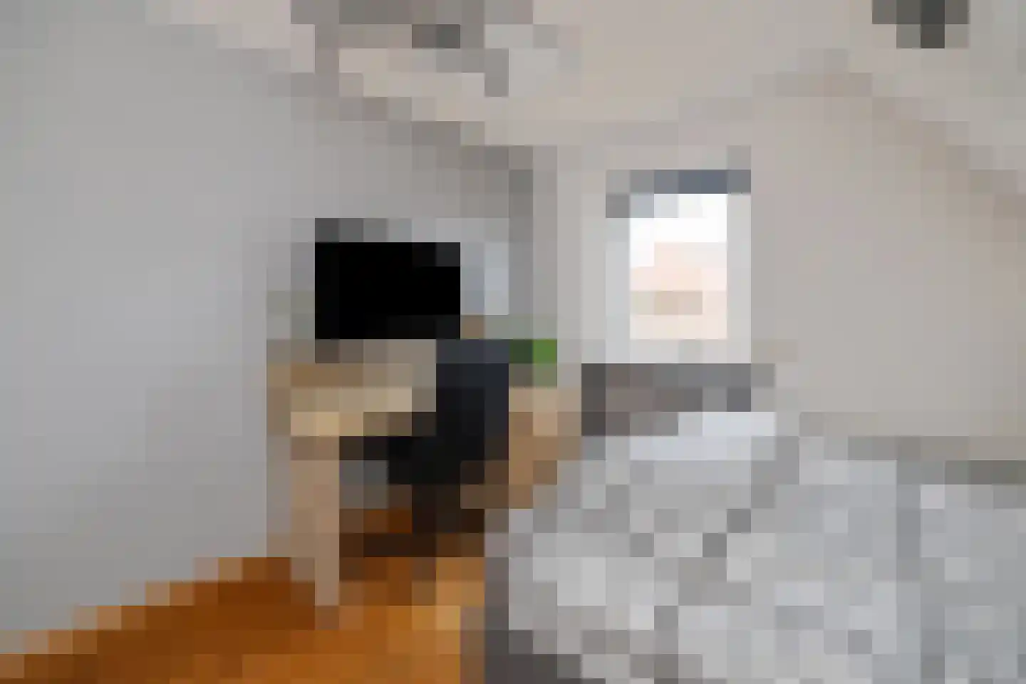 Schaapmanstraat 25 Lemelerveld thumbnail 31
