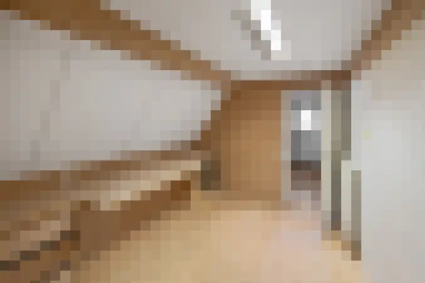Schaapmanstraat 25 Lemelerveld thumbnail 33