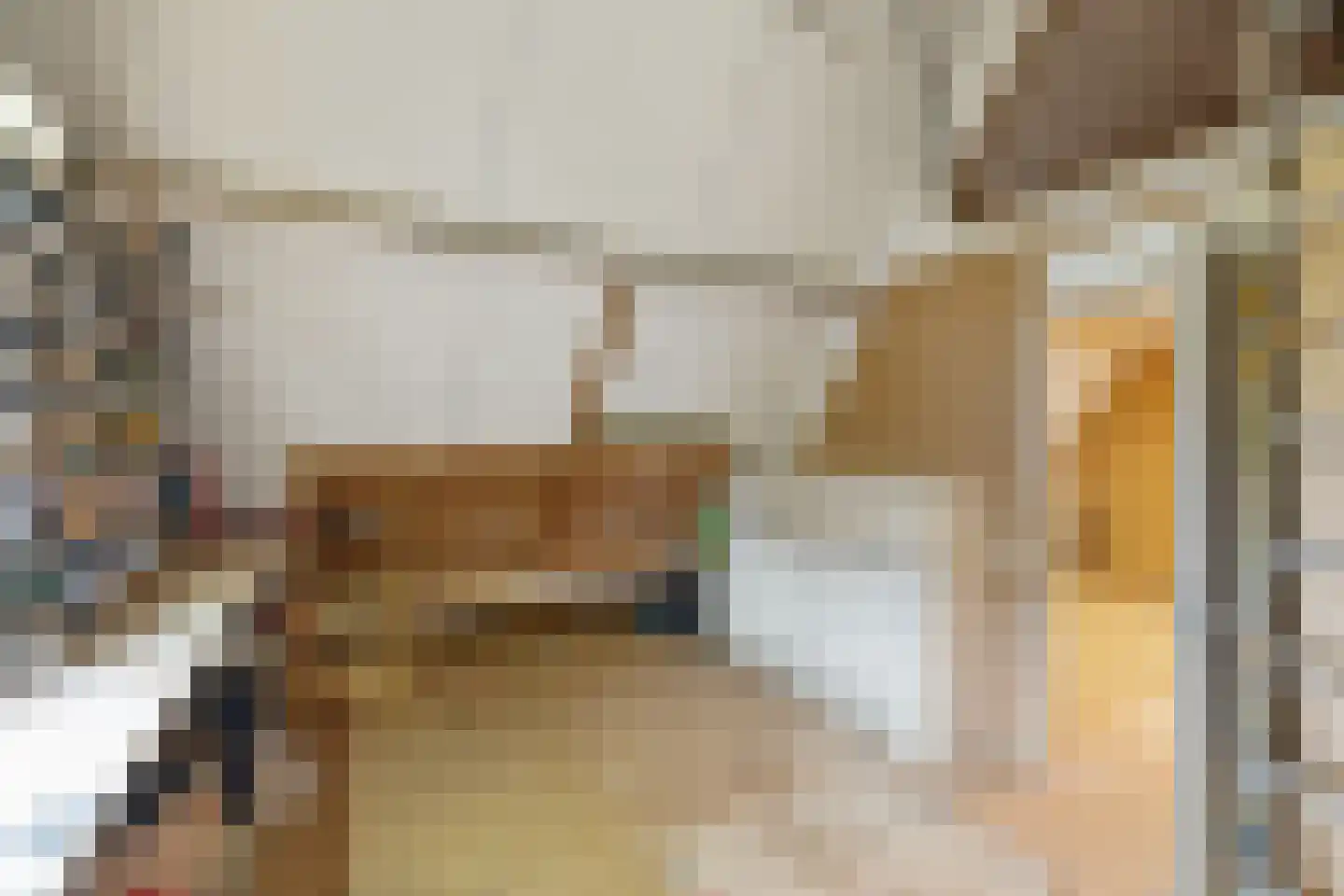 Schaapmanstraat 25 Lemelerveld thumbnail 34