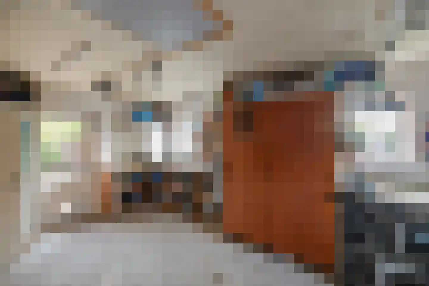 Schaapmanstraat 25 Lemelerveld thumbnail 35