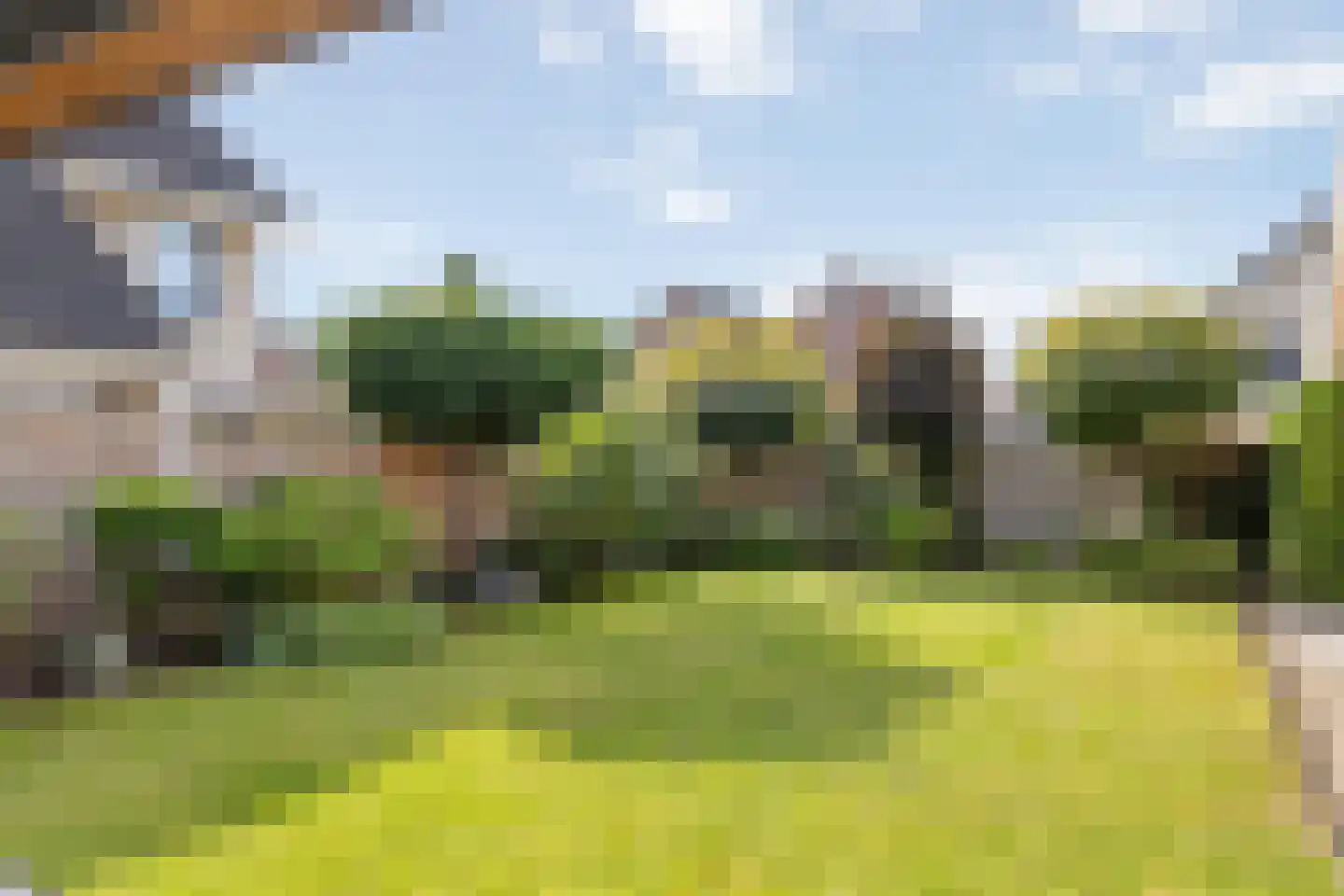 Schaapmanstraat 25 Lemelerveld thumbnail 36