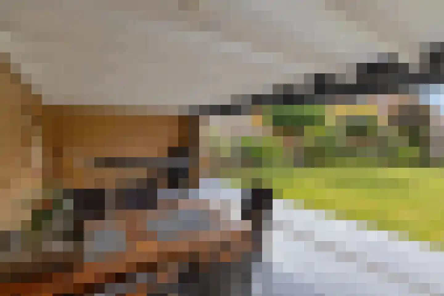 Schaapmanstraat 25 Lemelerveld thumbnail 40
