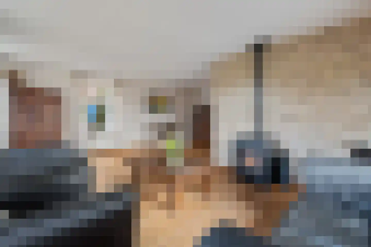 Schaapmanstraat 25 Lemelerveld thumbnail 5