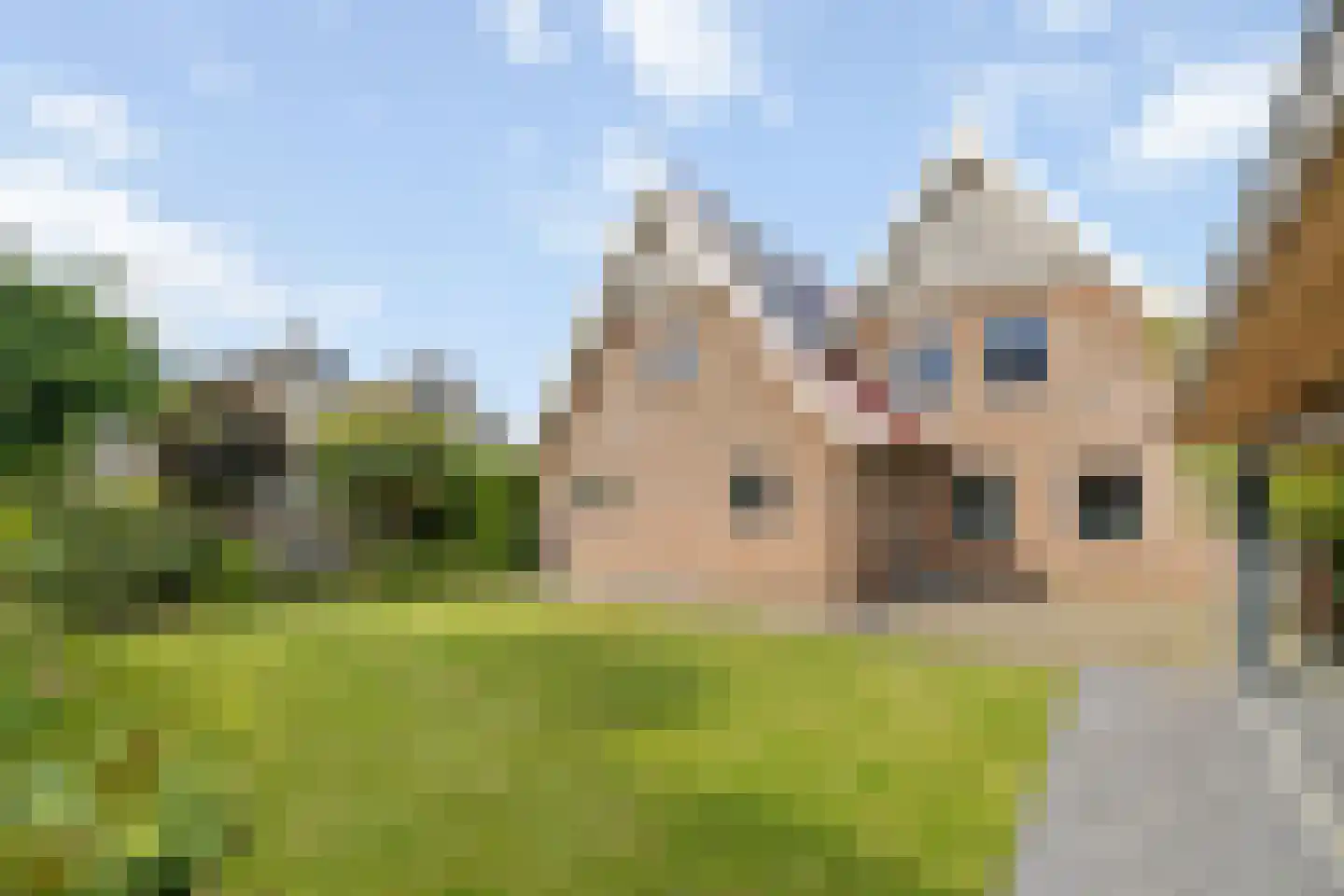 Schaapmanstraat 25 Lemelerveld thumbnail 6