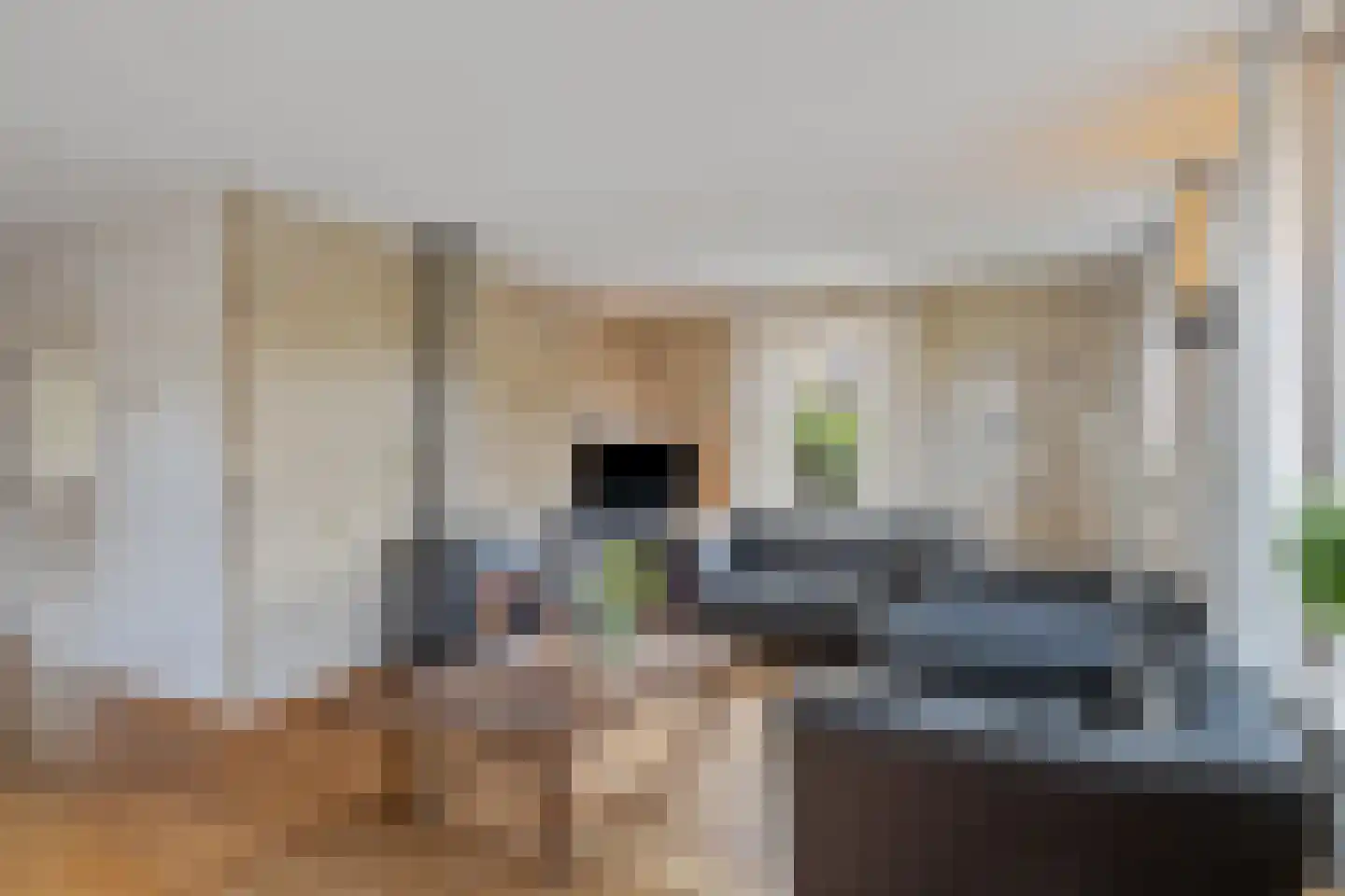 Schaapmanstraat 25 Lemelerveld thumbnail 8