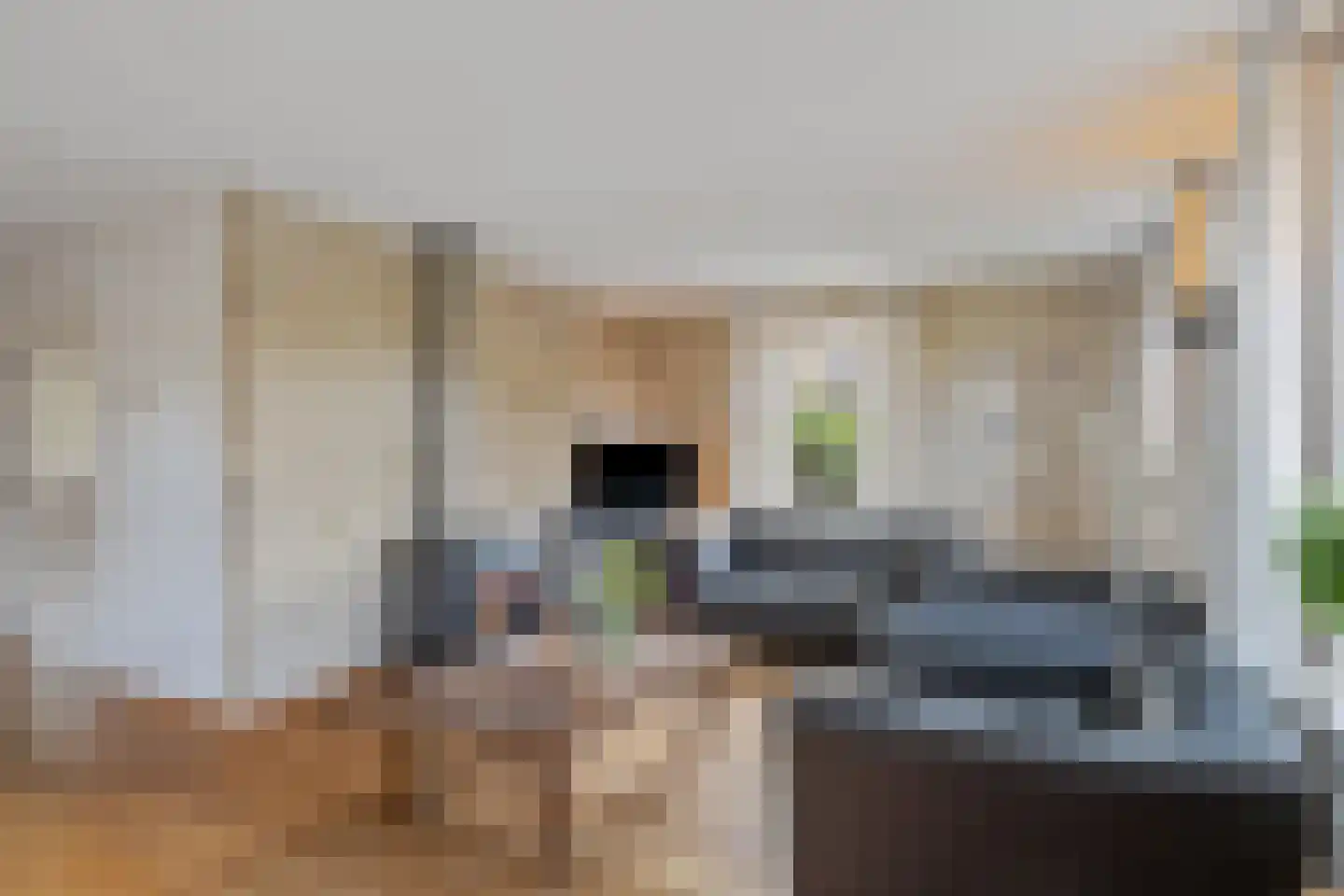 Schaapmanstraat 25 Lemelerveld thumbnail 9