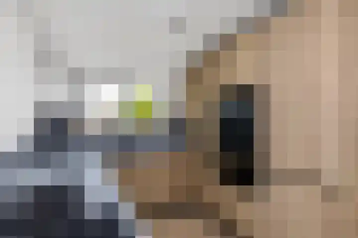 Schaapmanstraat 9 Lemelerveld thumbnail 10