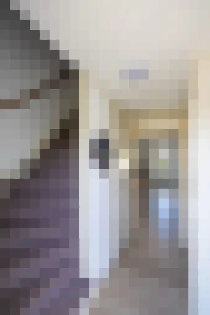 Schaapmanstraat 9 Lemelerveld thumbnail 13