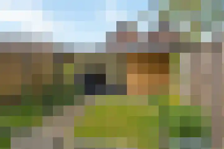 Schaapmanstraat 9 Lemelerveld thumbnail 21