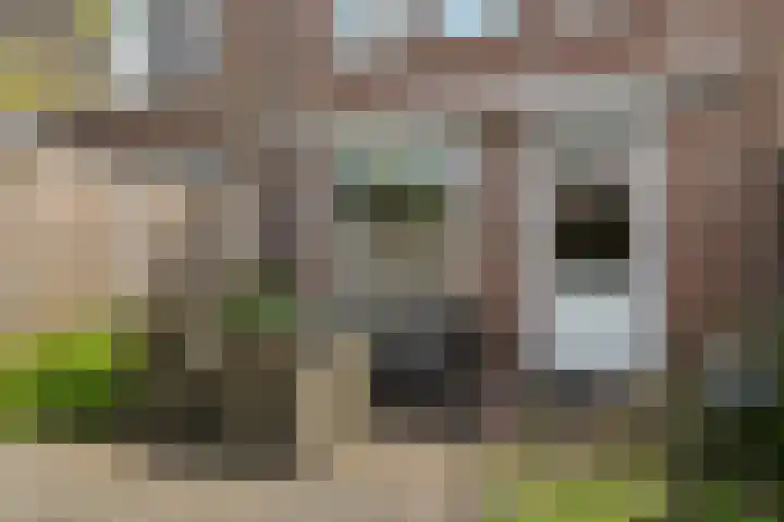 Schaapmanstraat 9 Lemelerveld thumbnail 22