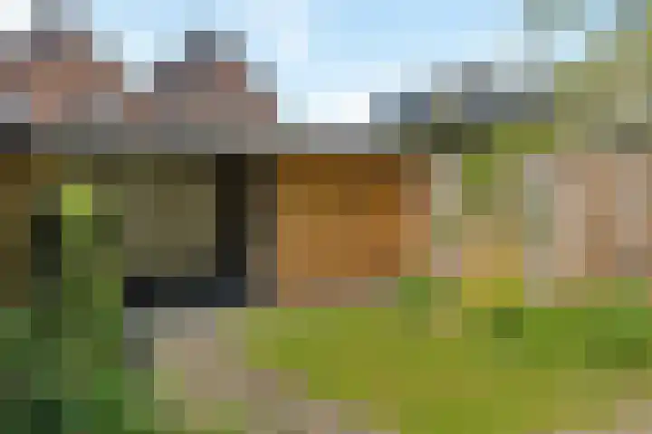 Schaapmanstraat 9 Lemelerveld thumbnail 23