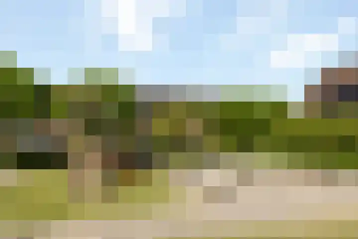 Schaapmanstraat 9 Lemelerveld thumbnail 24