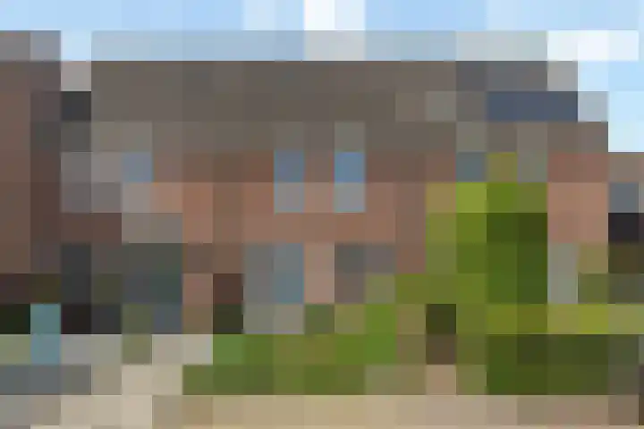 Schaapmanstraat 9 Lemelerveld thumbnail 29