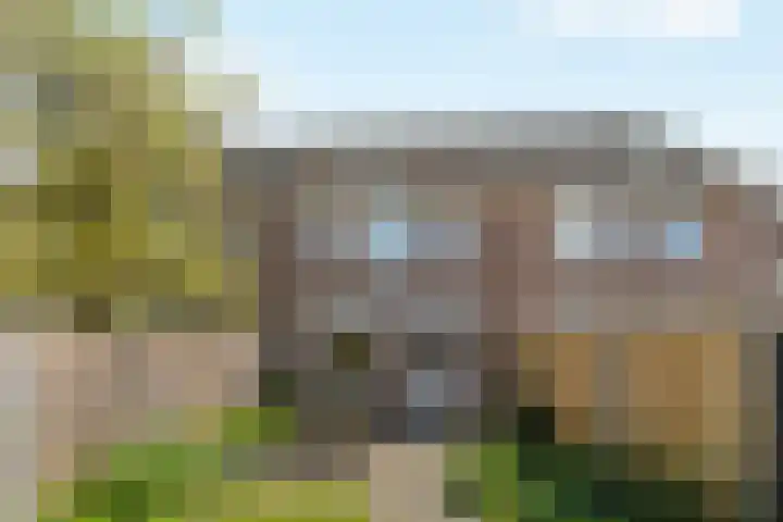 Schaapmanstraat 9 Lemelerveld thumbnail 5