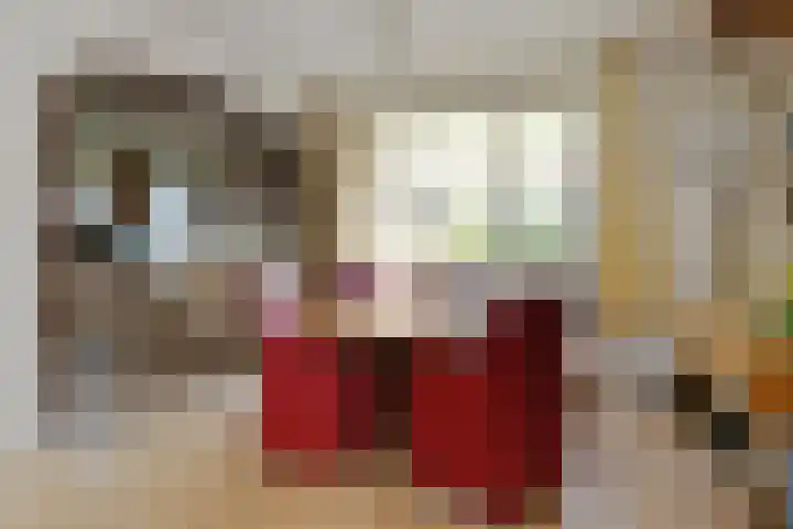 Schaapsbrug 3 Heibloem thumbnail 10