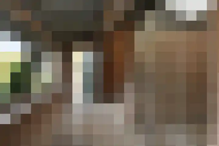 Schaapsbrug 3 Heibloem thumbnail 26