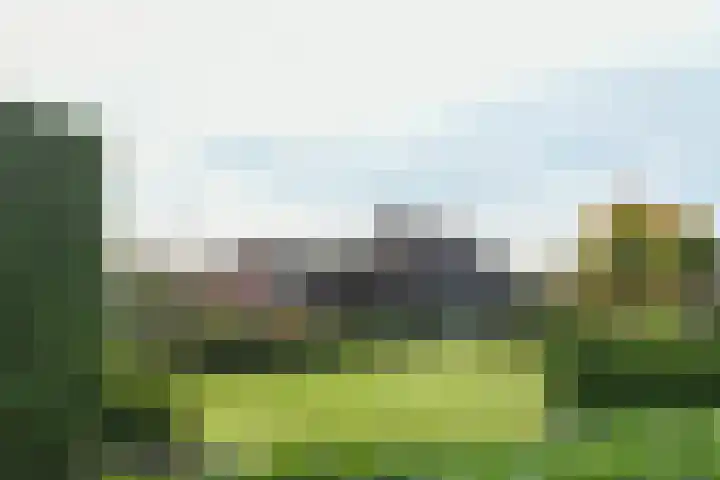 Schaapsbrug 3 Heibloem thumbnail 27