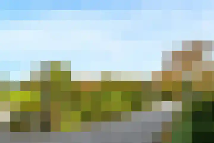 Schaapsbrug 3 Heibloem thumbnail 28