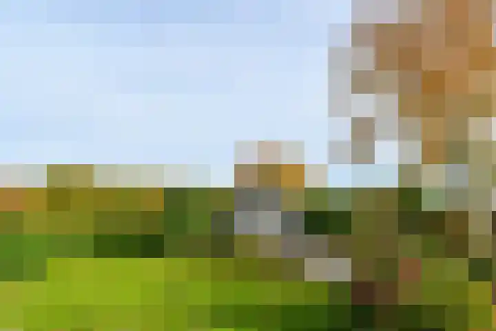 Schaapsbrug 3 Heibloem thumbnail 29