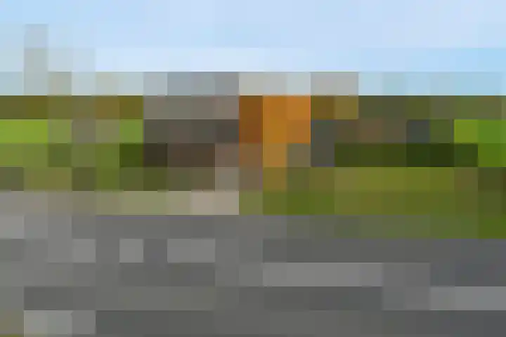 Schaapsbrug 3 Heibloem foto 3