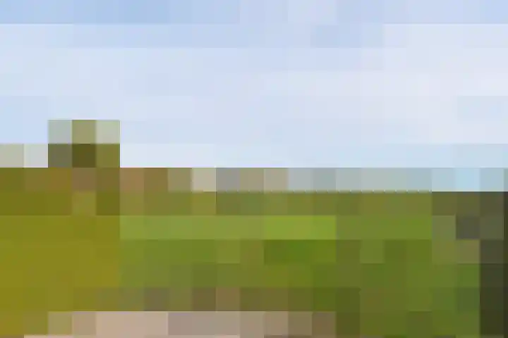 Schaapsbrug 3 Heibloem thumbnail 34