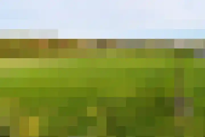 Schaapsbrug 3 Heibloem thumbnail 35