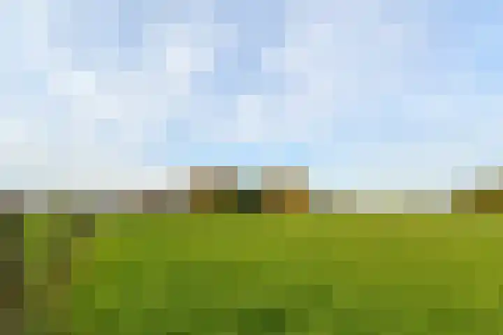 Schaapsbrug 3 Heibloem thumbnail 36