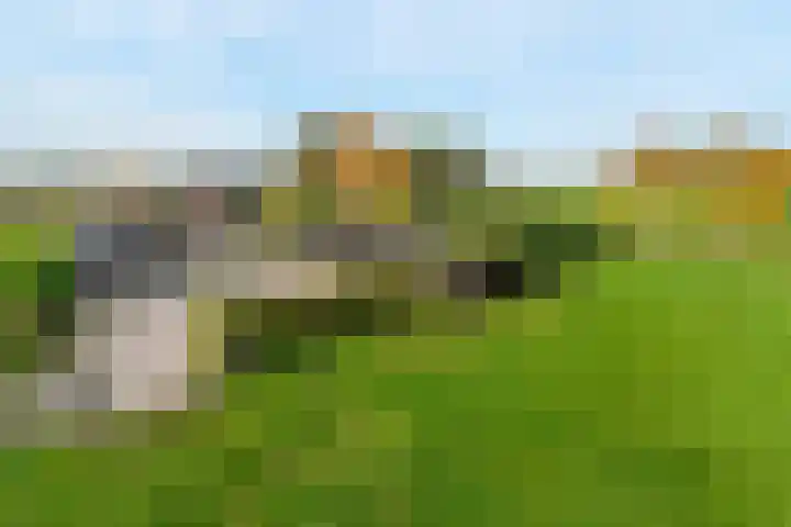 Schaapsbrug 3 Heibloem thumbnail 37