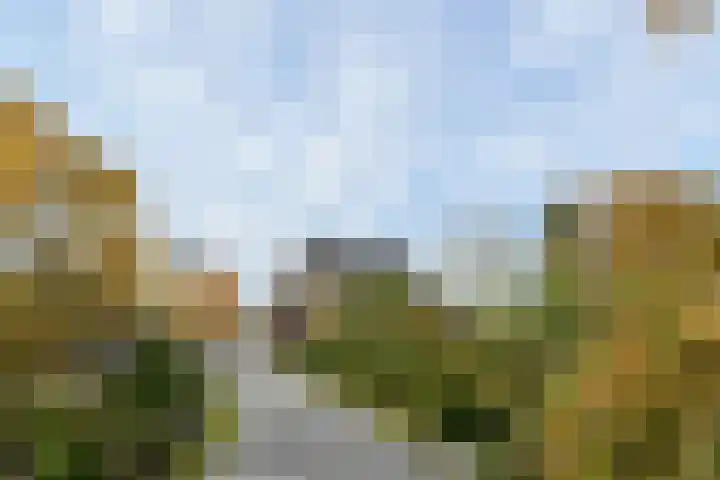 Schaapsbrug 3 Heibloem thumbnail 38