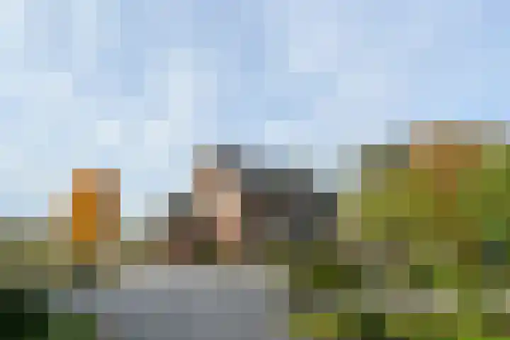 Schaapsbrug 3 Heibloem thumbnail 39