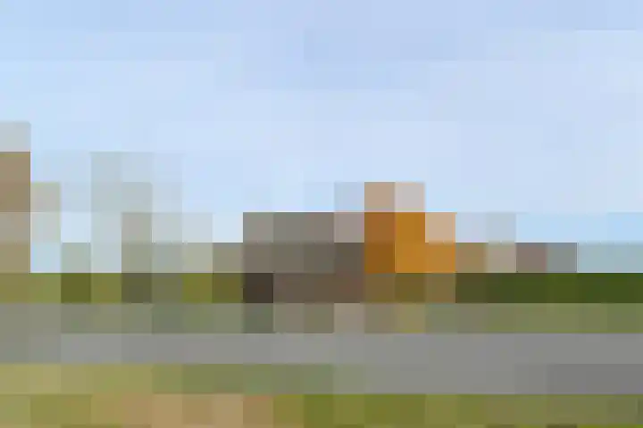 Schaapsbrug 3 Heibloem thumbnail 4